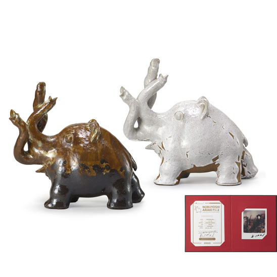  荒木經惟(B.1940)白色黃色大象．簽名寶麗來   2019年 