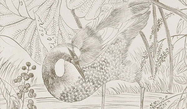 東京中央8月10日拍賣LIVE AUCTION｜輕似蟬翼白如雪 抖似細綢不聞聲